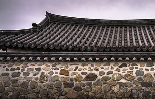 Hizmetlerimiz Vegetative Roof